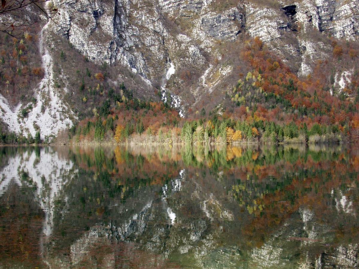 Apartment Ravnik Brod 13 Bohinj Exterior foto